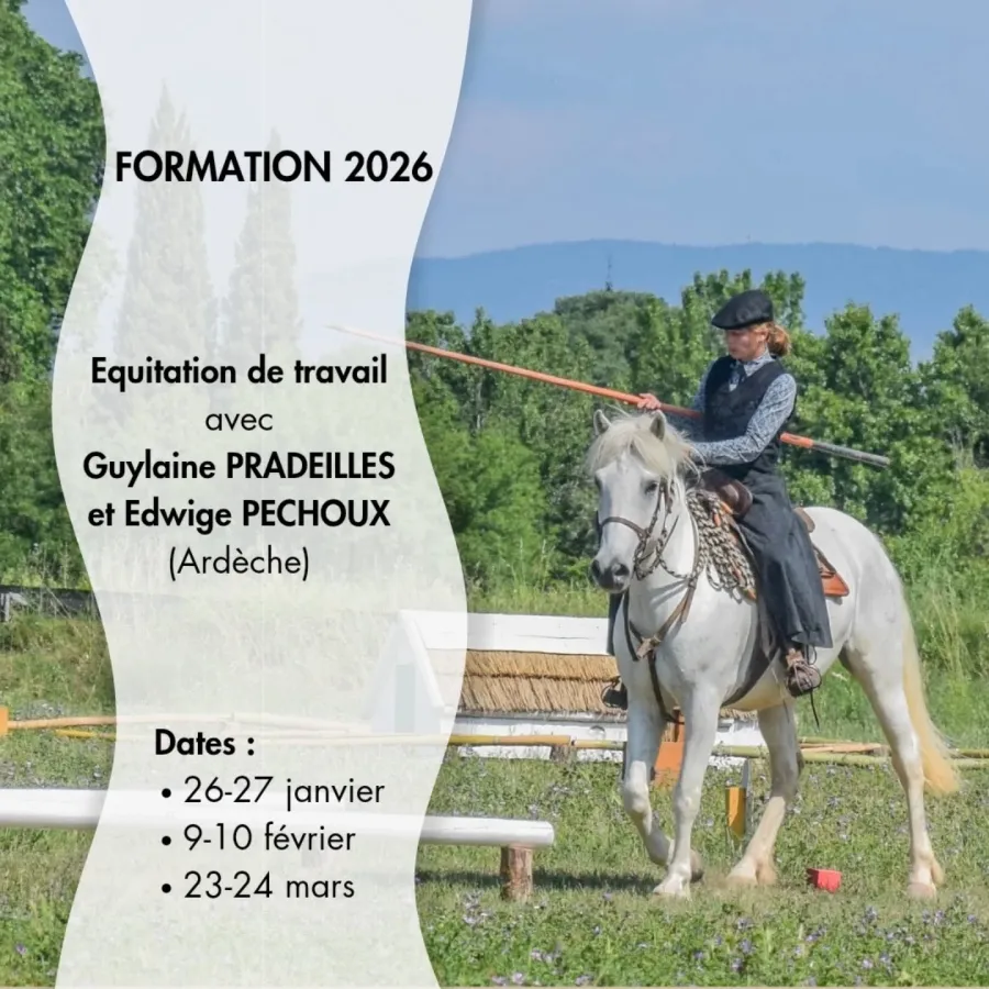 Valjac Formation Equestre Avignon – Visuel Formateur